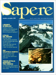 Sapere 11/1993
