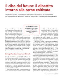 Il cibo del futuro: il dibattito intorno alla carne coltivata