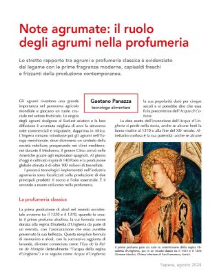 Note agrumate: il ruolo degli agrumi nella profumeria